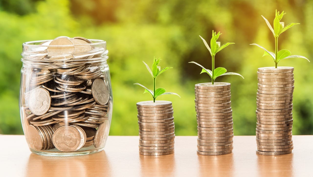 esg investing - stacks of coins and plants